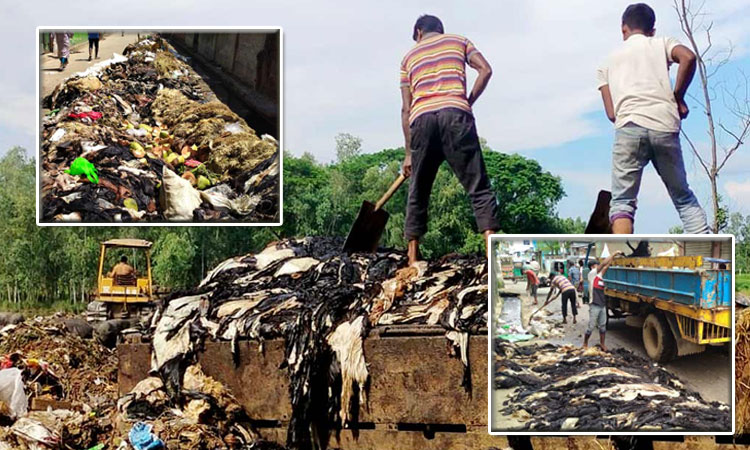 বগুড়ায় ফেলে দেওয়া হলো চামড়া