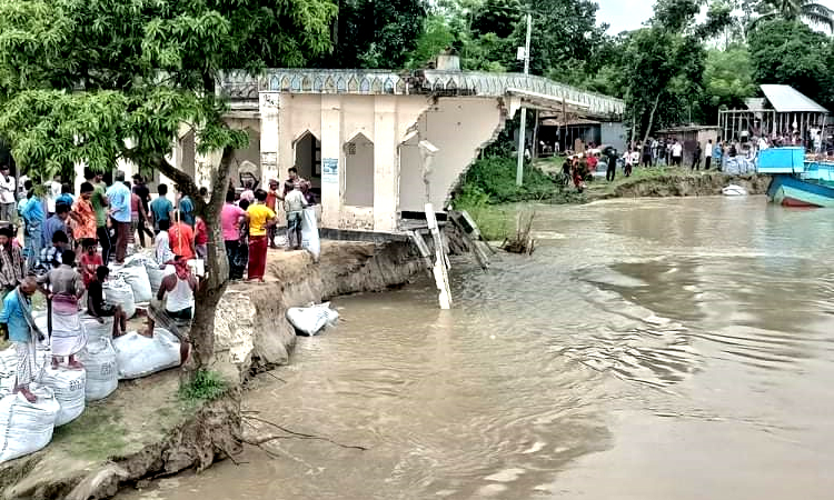 পদ্মার ভাঙনে দিশেহারা মানুষ