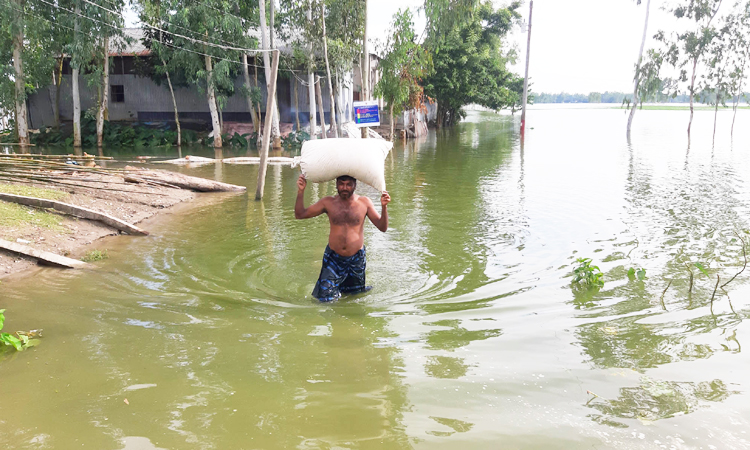 কুড়িগ্রামে পানিবন্দি ৫০ হাজার মানুষ