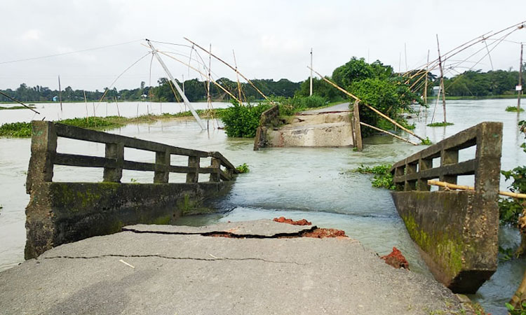 টাঙ্গাইলে পানির স্রোতে ভেঙে গেলো কালভার্ট