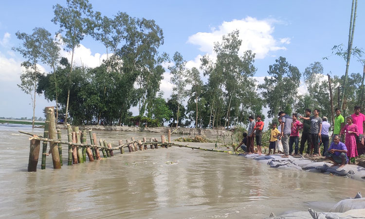 তিস্তার থাবায় লন্ডভন্ড জীবন, পানি বন্দি হাজার হাজার মানুষ