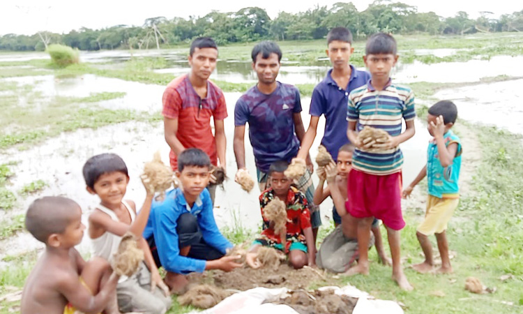 বজ্রপাত ঠেকাতে কলেজ ছাত্রের তালের চারা রোপণ