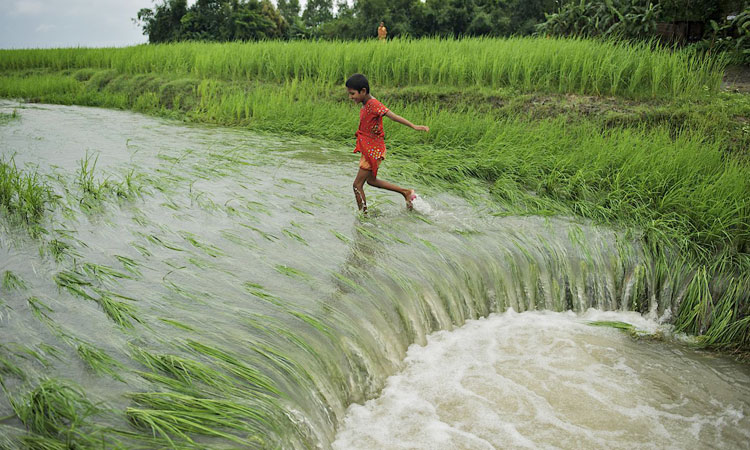 প্লাবিত হওয়ার ঝুঁকিতে ঢাকাসহ এশিয়ার ১০ বৃহৎ নগরী