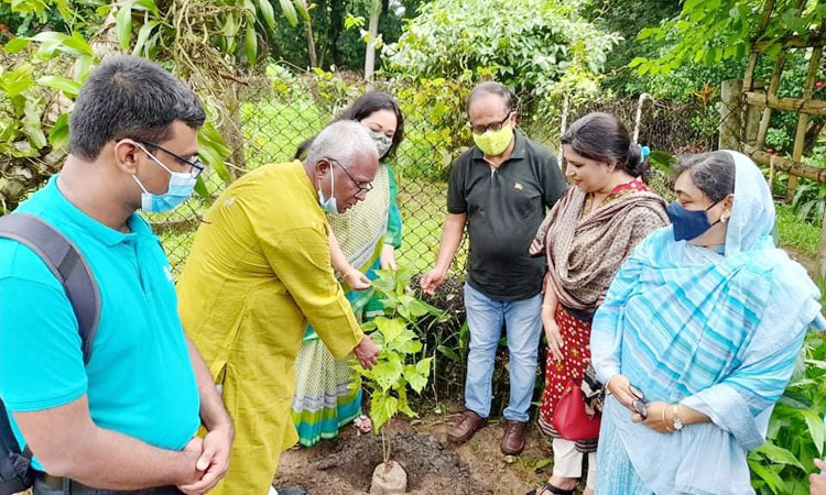 দুর্লভ উদ্ভিদ সংরক্ষণে জাবিতে ২০০ বৃক্ষরোপণ