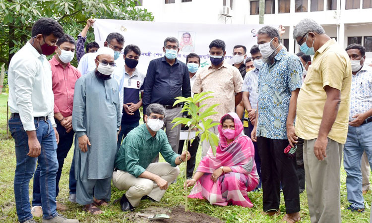 প্রধানমন্ত্রীর জন্মদিনে খুবিতে বৃক্ষরোপণ