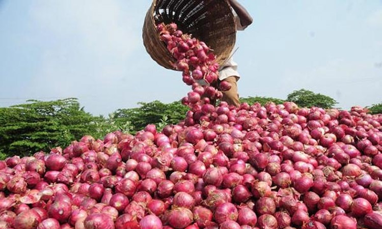 পেঁয়াজ আমদানিতে শুল্ক দিতে হবে না