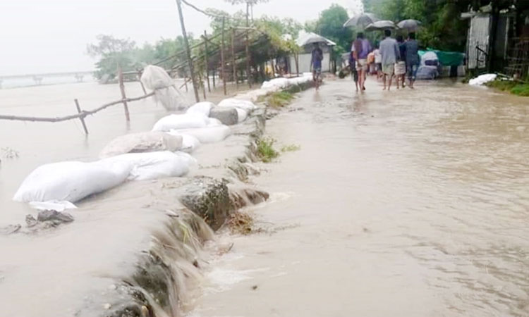 গঙ্গাচড়ায় ১০ হাজার পরিবার পানিবন্দি