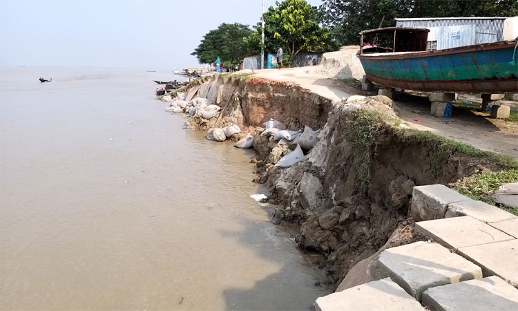 রাজবাড়ীতে শহর রক্ষা বাঁধের ১৫০ মিটার নদীগর্ভে বিলীন 