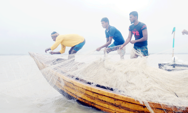 সাগরে ইলিশের আকাল, জেলে পল্লীতে হাহাকার