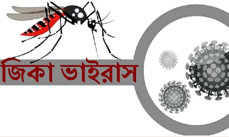 করোনার মধ্যে ভারতে নতুন আতঙ্ক জিকা