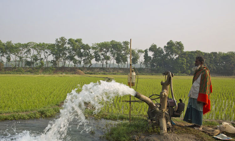 ডিজেলে কৃষককে ভর্তুকি, যা বললেন কৃষিমন্ত্রী