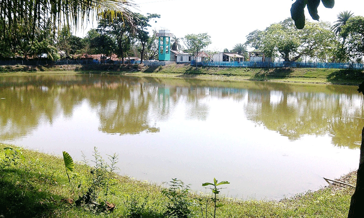 মাদ্রাসার পুকুরে প্লেট ধুতে গিয়ে লাশ হলো শিক্ষার্থী 