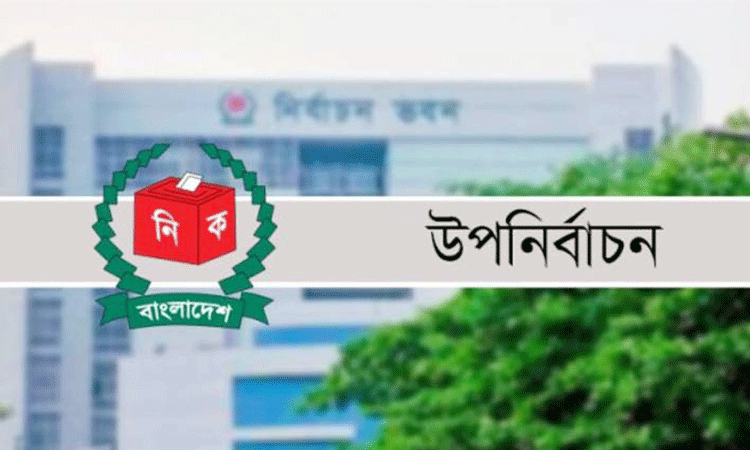 টাঙ্গাইল ৭ আসনে প্রার্থী ৭ জন 