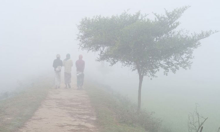 তেঁতুলিয়ায় তাপমাত্রা ৮.৬