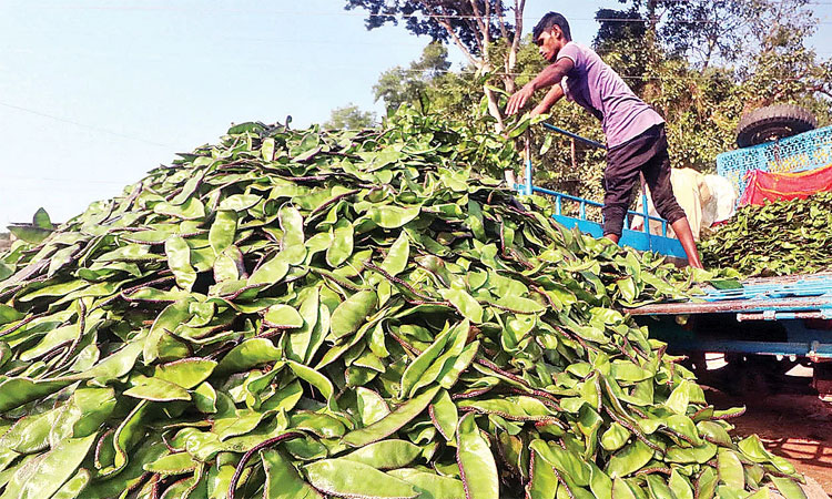 এবার শিমের দামেও সেঞ্চুরি!