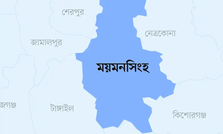 ফাঁকা গুলি করে নারী বাউল শিল্পীকে কুপিয়ে জখম