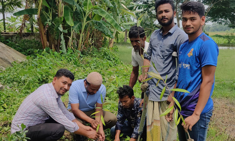 বিশ্ব পরিবেশ দিবস: রাঙ্গাবালীতে যুব সংগঠনের বৃক্ষরোপণ কর্মসূচি