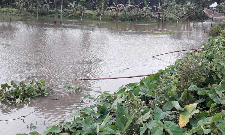 বিদ্যুতের তার লাগাতে গিয়ে প্রাণ গেল ২ জনের