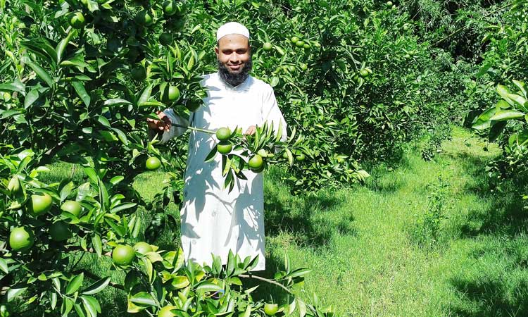 বাড়িতেই ফলান ১৭০ রকমের ফল