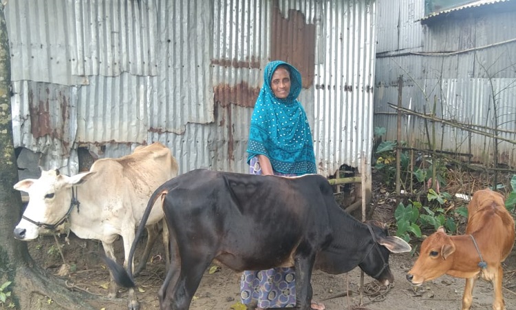 সুখী-সমৃদ্ধ পরিবারের স্বপ্ন দেখছেন কমলা বেগম