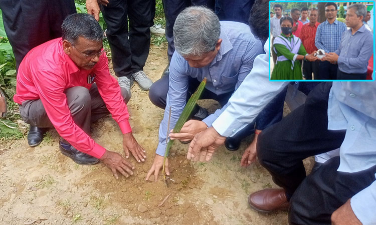 আড়াই লাখ তালবীজ রোপন করবে জেলা প্রশাসন