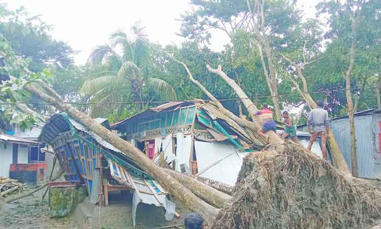 ঘূর্ণিঝড় সিত্রাং : তজুমদ্দিনে ৫ শতাধিক ঘরবাড়ি ক্ষতিগ্রস্ত