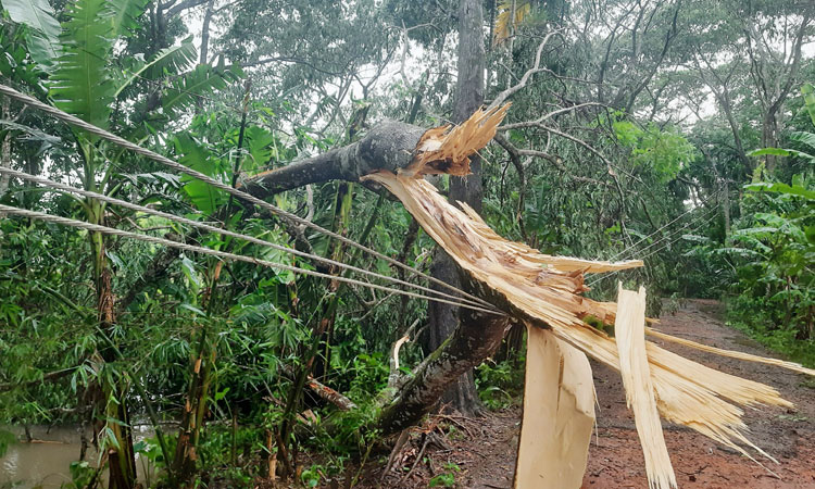 ৪৮ ঘণ্টা বিদ্যুৎহীন বেতাগী উপজেলা