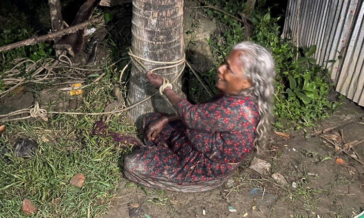 গুরুদাসপুরে বিধবা বৃদ্ধাকে গাছে বেঁধে নির্যাতন