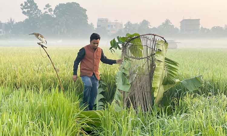 গুরুদাসপুরে উদ্ধার হওয়া ২৫টি বক অবমুক্ত