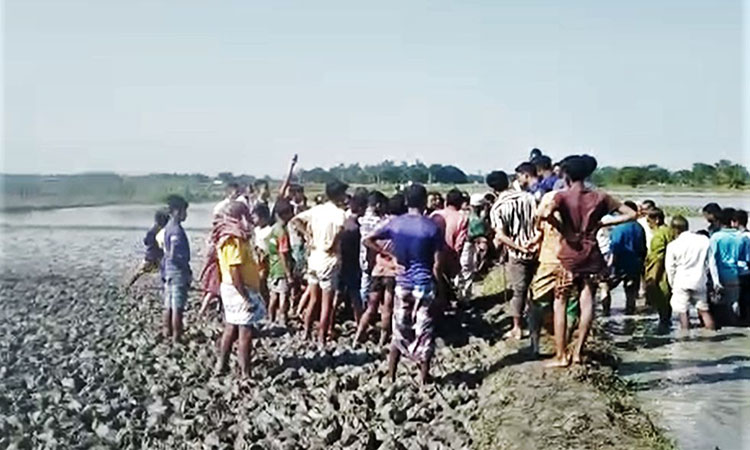 বারহাট্টায় কৃষকের মরদেহ উদ্ধার