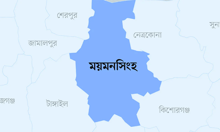 ভালুকায় আগুনে পুড়লো গোডাউনসহ ৫ বসত ঘর