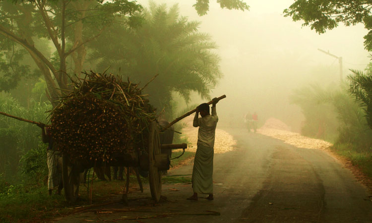 প্রকৃতি ও ঐতিহ্যের পূজারি শীত