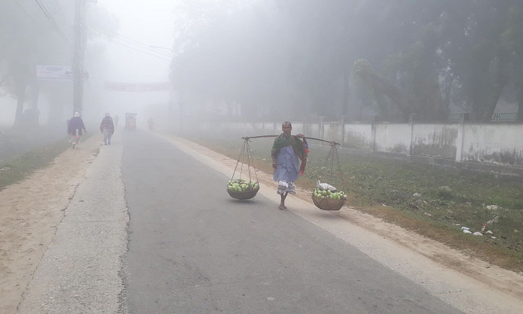 শীতের দাপট বাড়ছে, তাপমাত্রা নামল ৯ ডিগ্রিতে