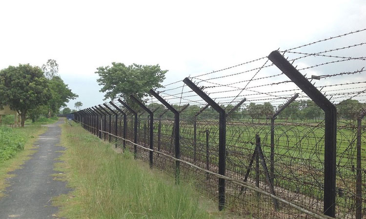 সীমান্তে বিএসএফের গুলিতে ২ বাংলাদেশি নিহত