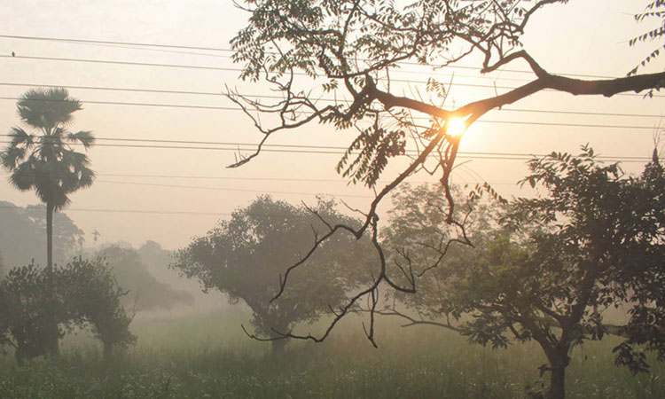 বাড়ছে শীত, সর্বনিম্ন তাপমাত্রা ৮.৭ ডিগ্রি