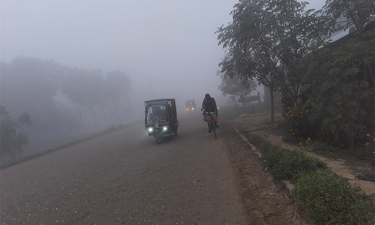 দেশের সর্বনিম্ন তাপমাত্রা রেকর্ড ঈশ্বরদীতে, বিপর্যস্ত জনজীবন