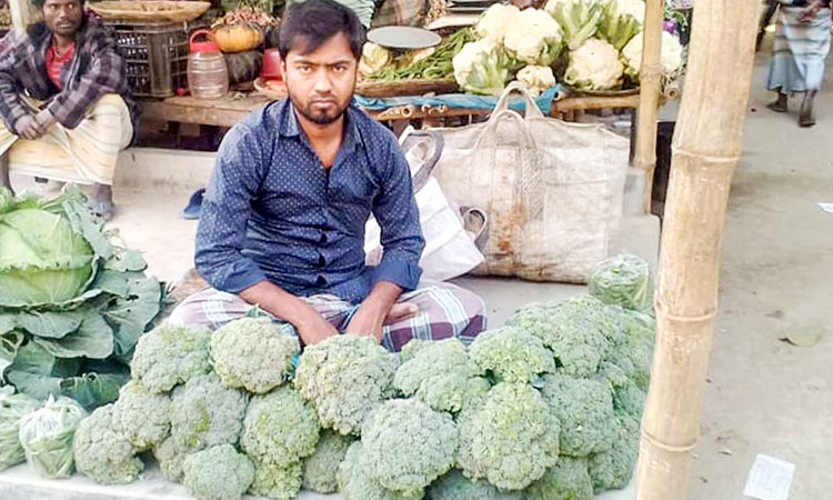 পাঁচবিবিতে ফুলকপি চাষে স্বাবলম্বী আলিম