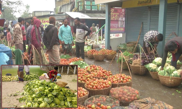 কপির জোড়া ১০, টমেটো ৫ টাকা কেজি 