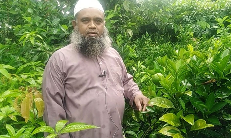 শখের নার্সারিতে সফল মহররম আলী