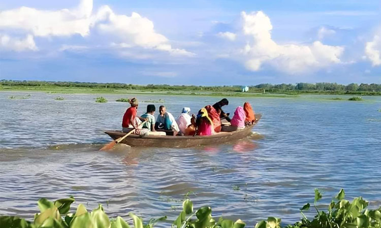 বর্ষায় প্রাকৃ‌তিক সৌন্দর্যে ভরপুর চলন‌বিল