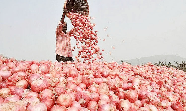 পেঁয়াজে আবার সেঞ্চুরি