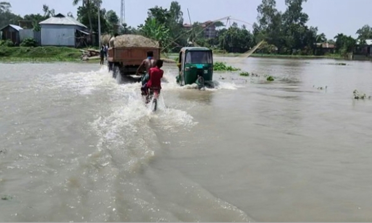 জামালপুরে যমুনার পানি বেড়ে বিপৎসীমার ওপরে