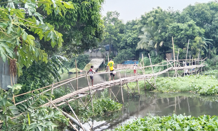 নিজেদের চাঁদায় বাঁশের সাঁকো দিয়ে ঝুঁকি নিয়ে পারাপার