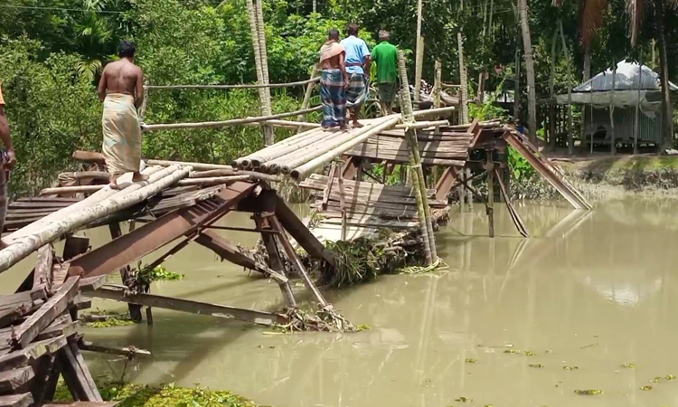 পারাপারে একমাত্র ভরসা সুপারি গাছের সাঁকো!