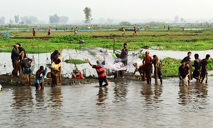 বুড়ির বাঁধে মাছ ধরার উৎসব, মাছ নেই, দামও বেশি