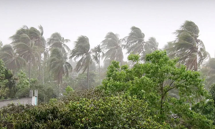 দেশের ৬ অঞ্চলে রাতের মধ্যে ঝোড়ো বৃষ্টির আভাস