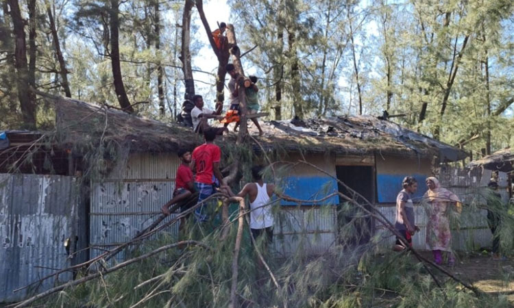 কক্সবাজারে বনকর্মীদের মারধর, আহত ৫