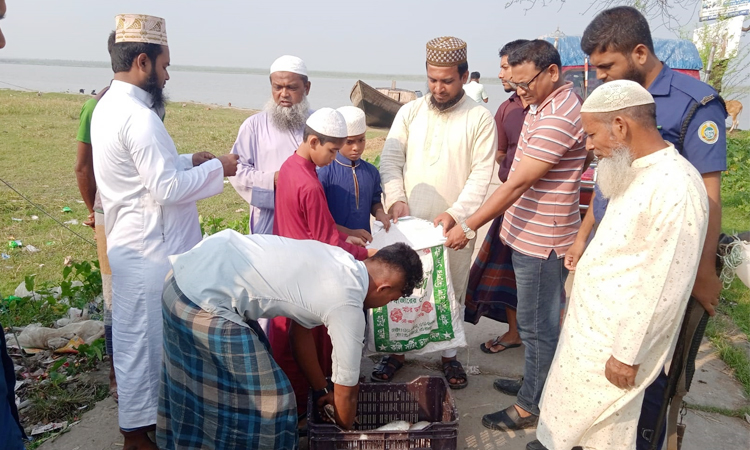 ভোলায় জব্দ ৫০ কেজি ইলিশ এতিমখানায় বিতরণ