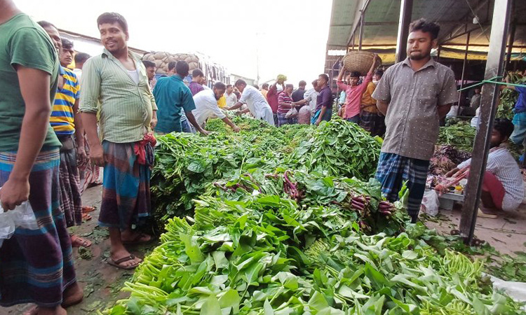 অবরোধে নষ্ট হচ্ছে শাকসবজি: হতাশ কৃষক