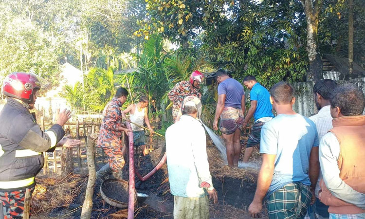 লালমনিরহাটে দুর্বৃত্তের আগুনে পুড়ল ৭ বিঘা জমির ধান